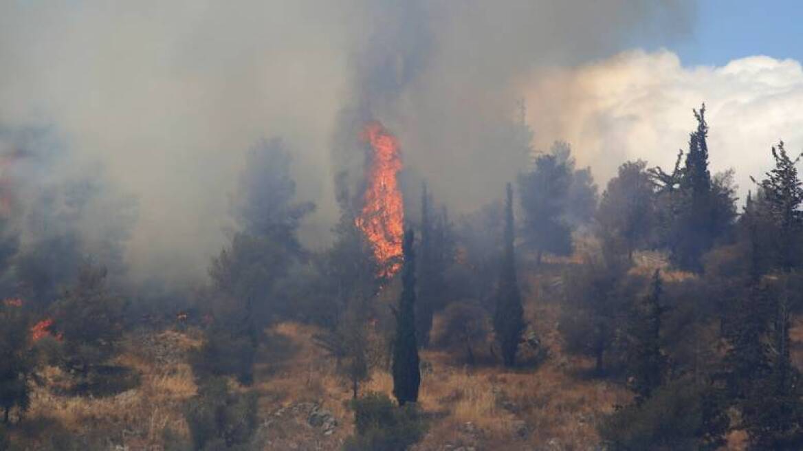 Μεγάλη πυρκαγιά σε δασική έκταση στην Αγία Άννα Ευβοίας